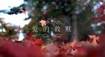 ���ľ���